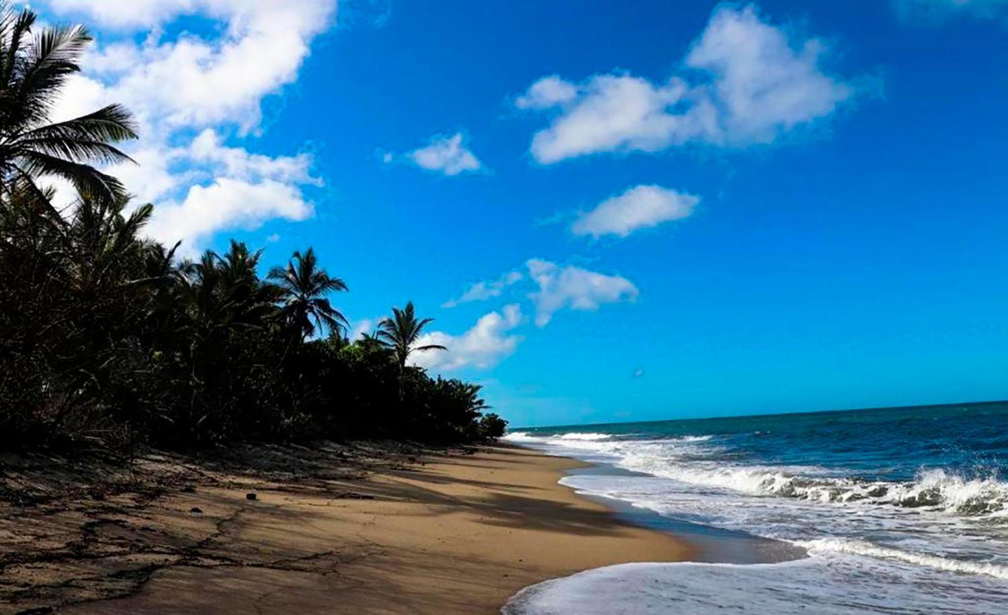 Hostal Mirador Dentro Del Parque Tayrona Ель-Зайно Екстер'єр фото