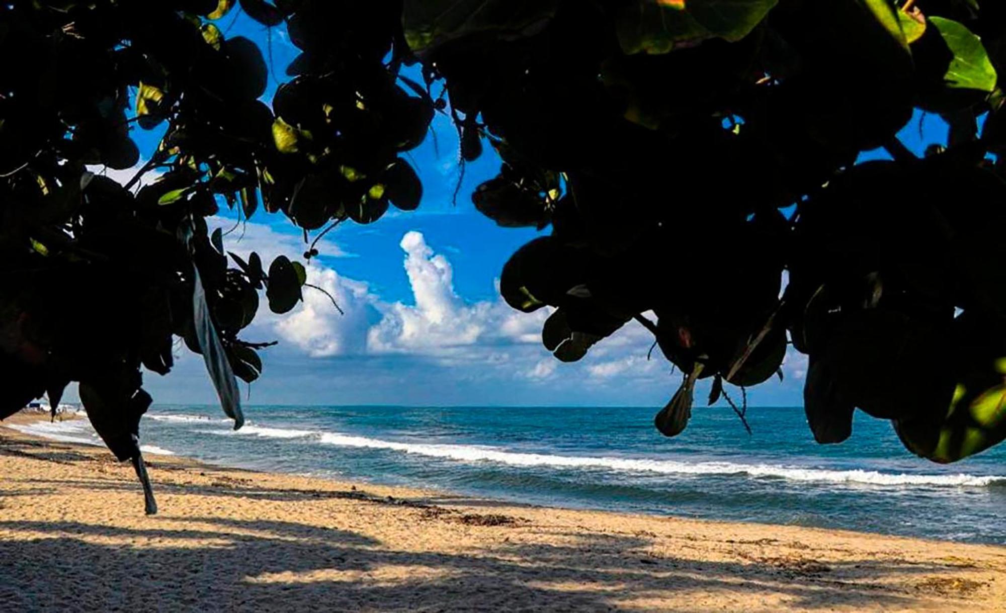 Hostal Mirador Dentro Del Parque Tayrona Ель-Зайно Екстер'єр фото