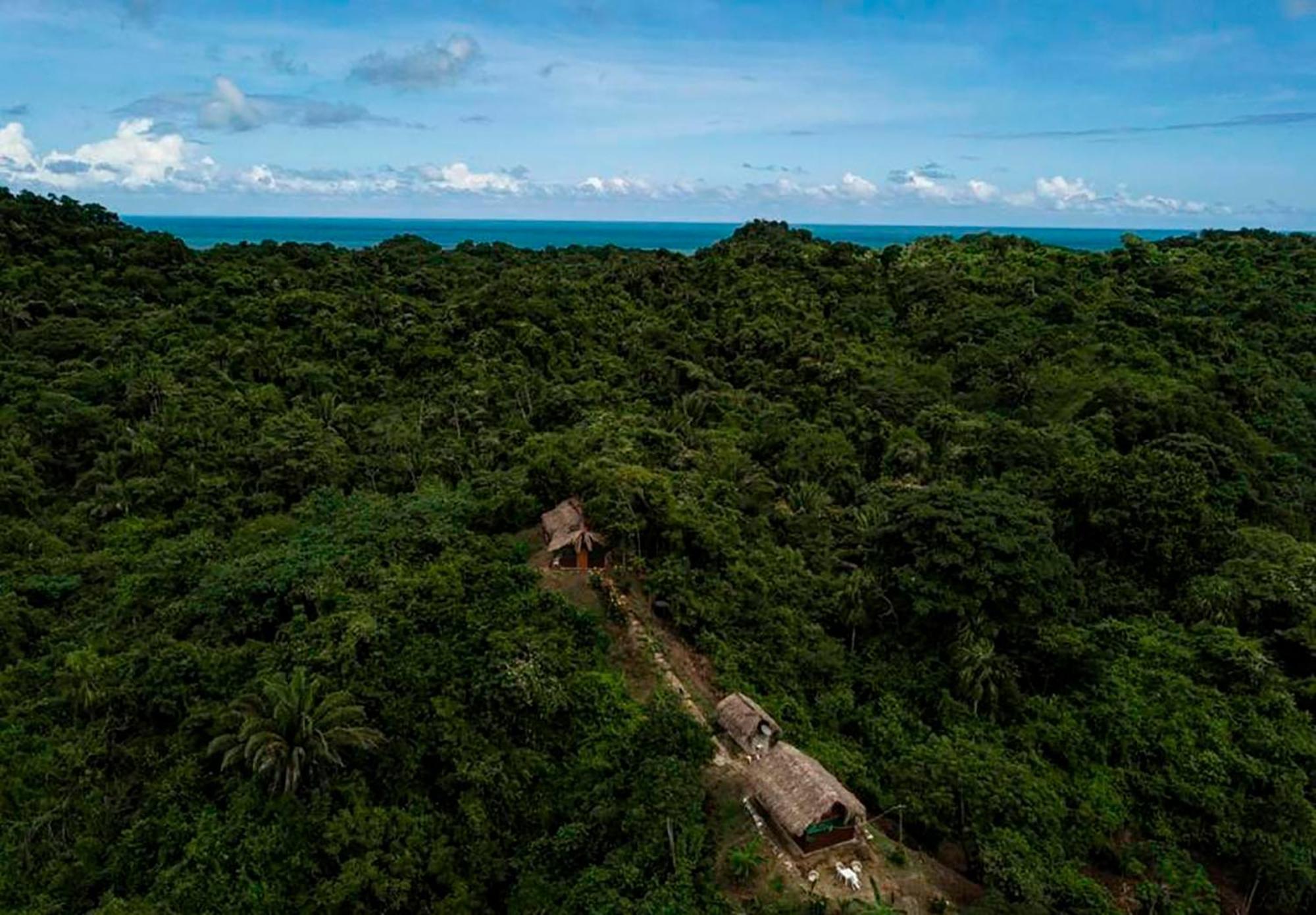 Hostal Mirador Dentro Del Parque Tayrona Ель-Зайно Екстер'єр фото