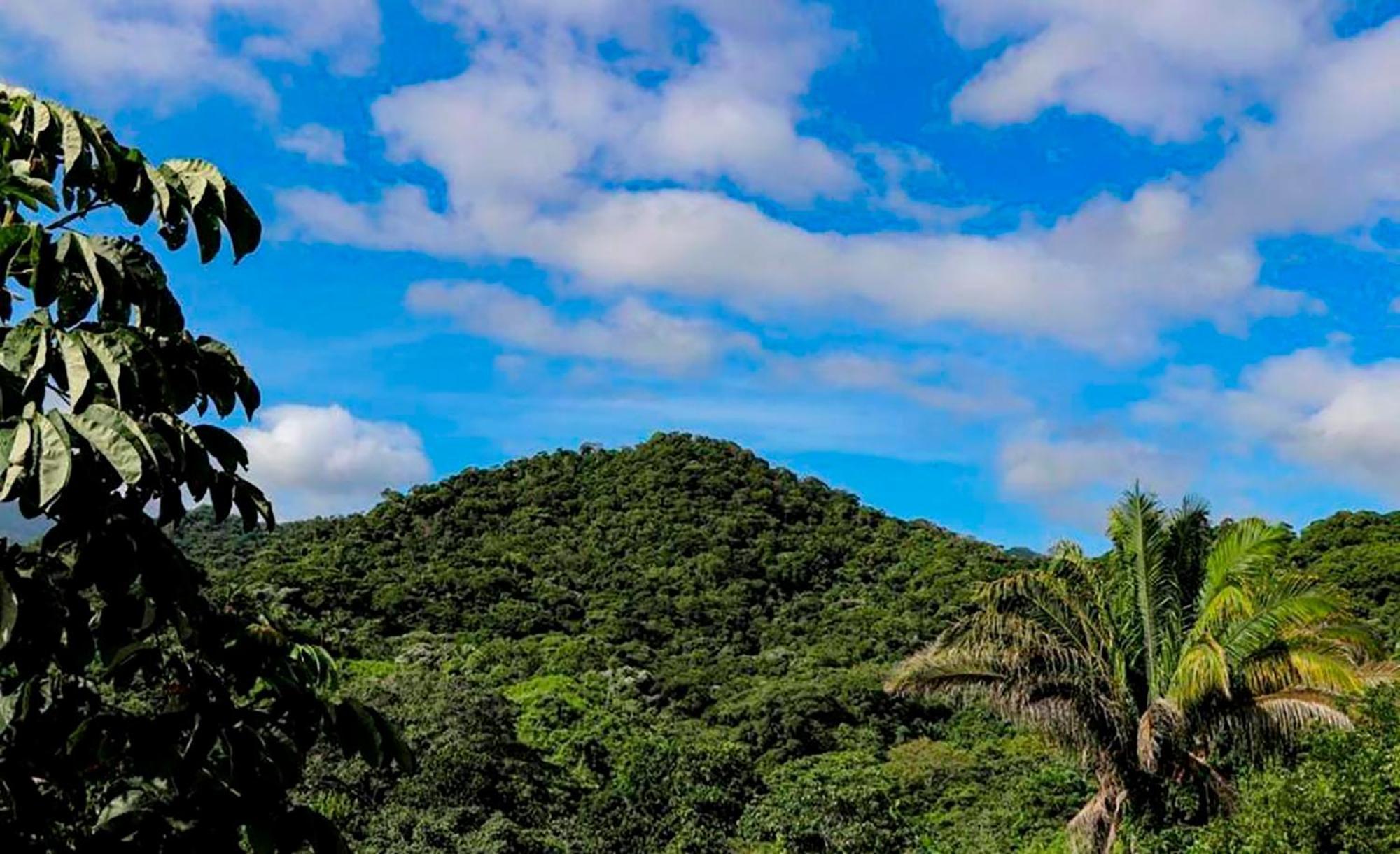 Hostal Mirador Dentro Del Parque Tayrona Ель-Зайно Екстер'єр фото