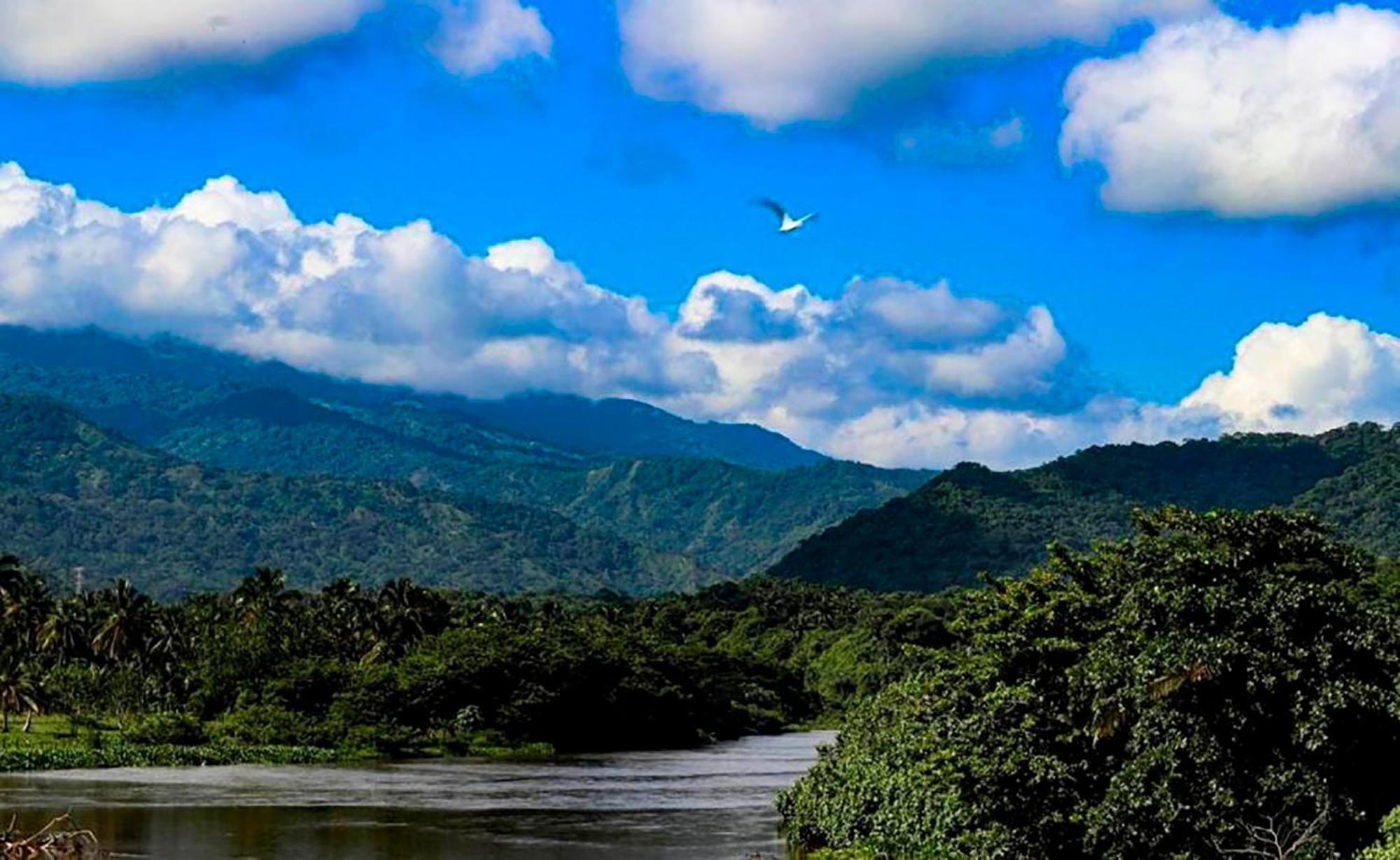 Hostal Mirador Dentro Del Parque Tayrona Ель-Зайно Екстер'єр фото