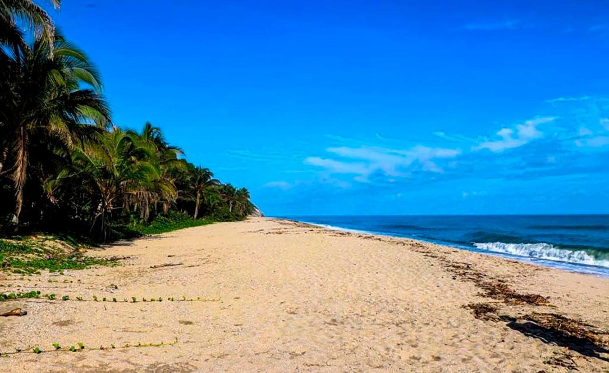 Hostal Mirador Dentro Del Parque Tayrona Ель-Зайно Екстер'єр фото