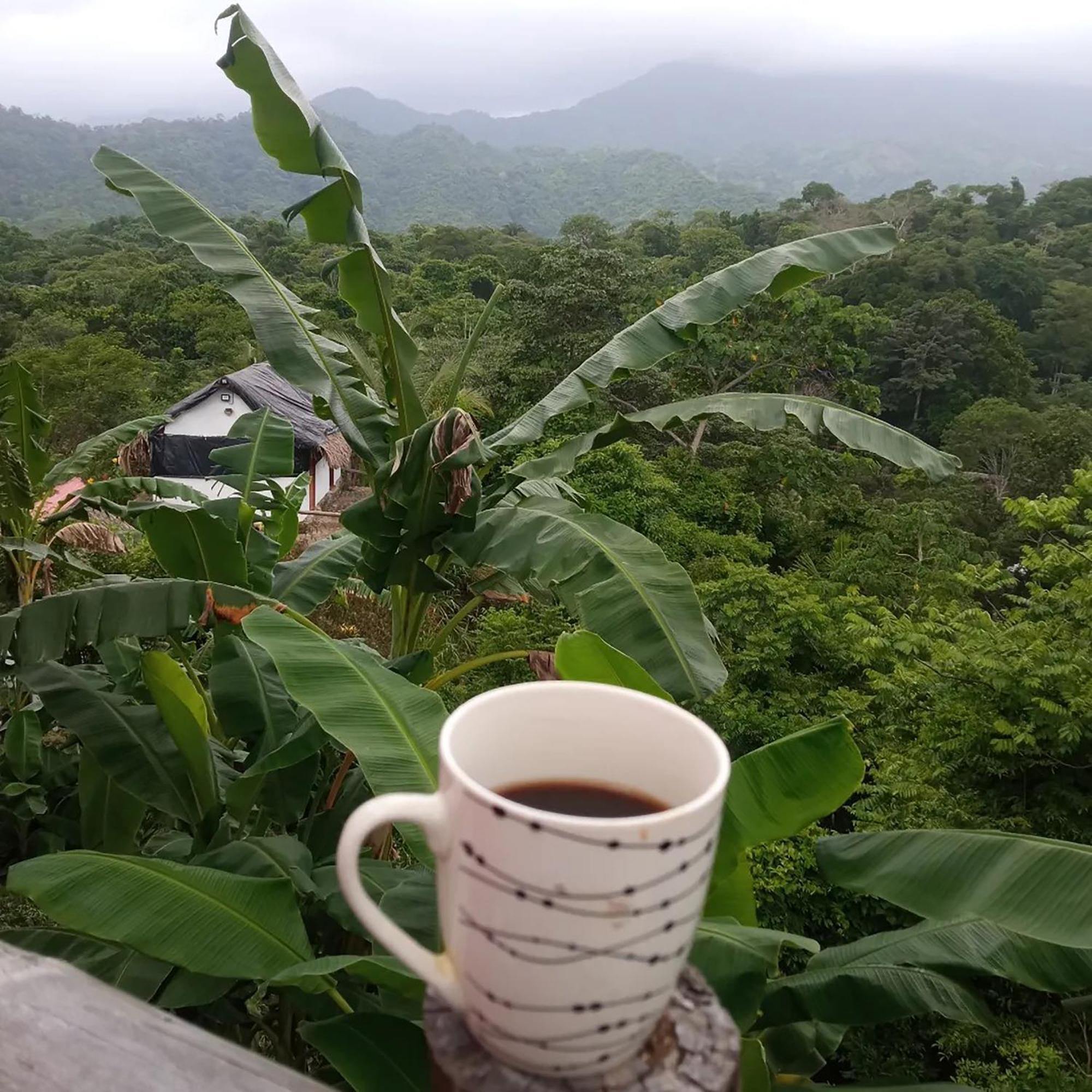 Hostal Mirador Dentro Del Parque Tayrona Ель-Зайно Екстер'єр фото