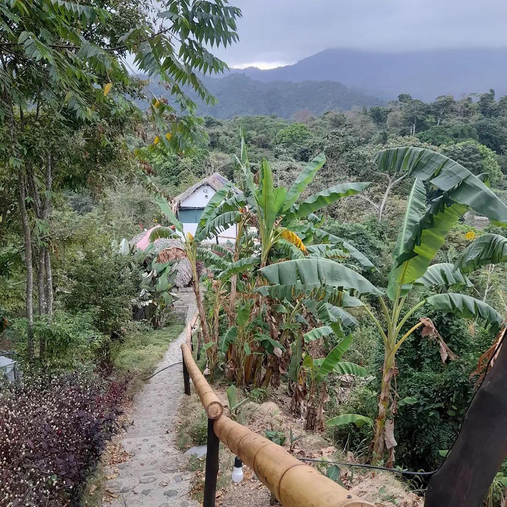 Hostal Mirador Dentro Del Parque Tayrona Ель-Зайно Екстер'єр фото