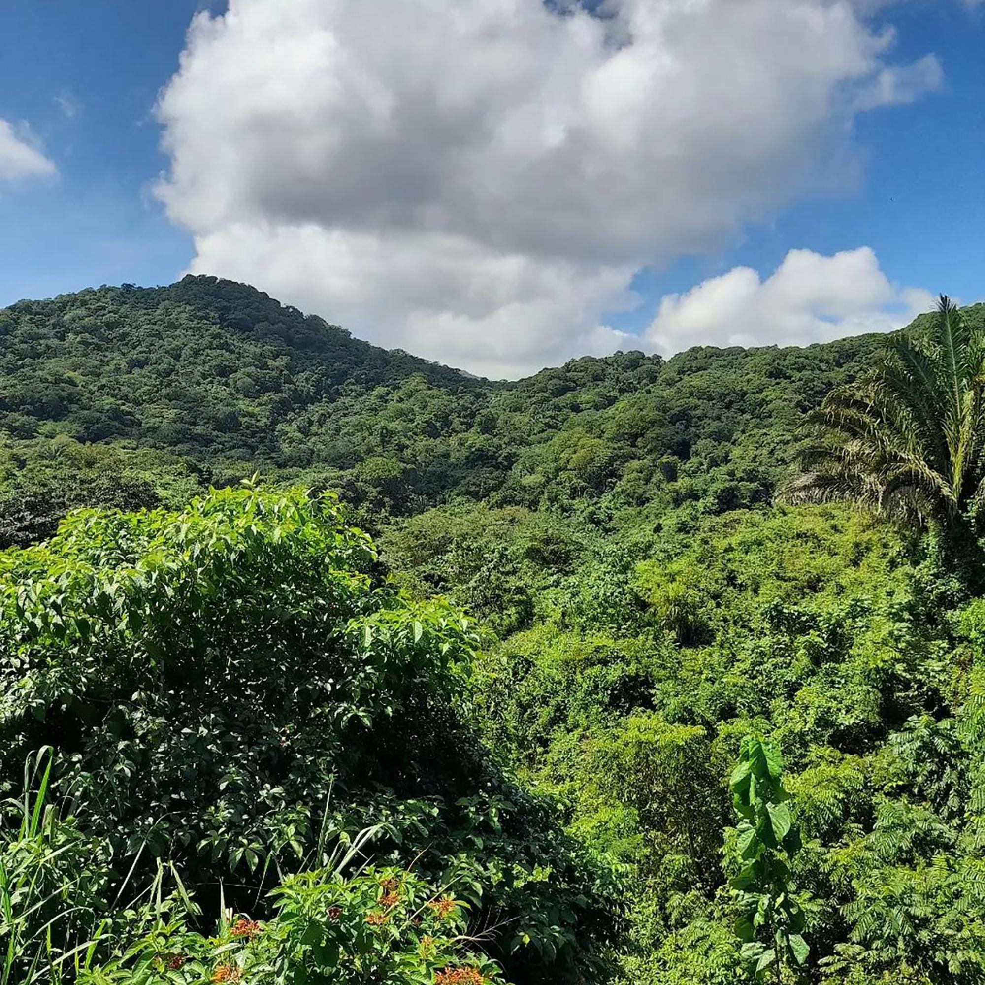 Hostal Mirador Dentro Del Parque Tayrona Ель-Зайно Екстер'єр фото