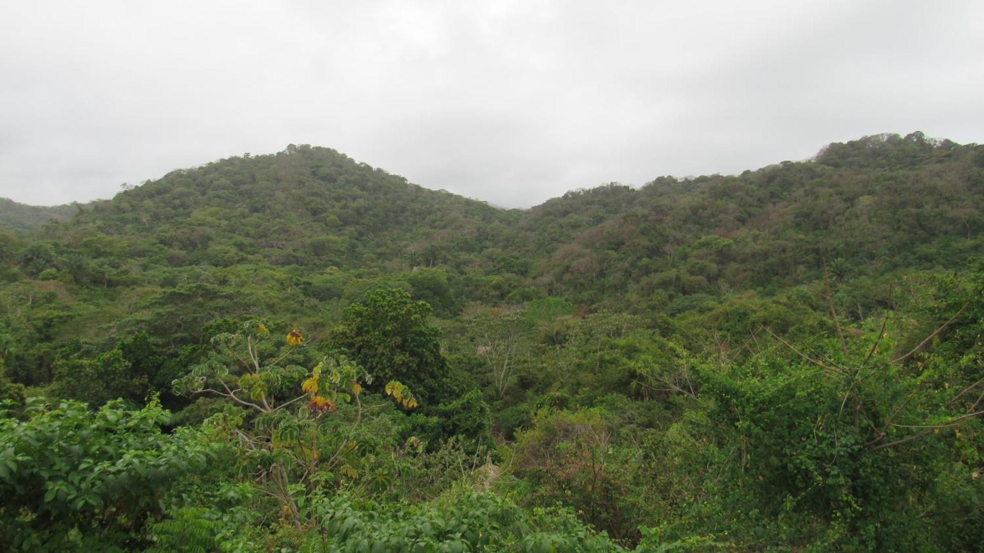 Hostal Mirador Dentro Del Parque Tayrona Ель-Зайно Екстер'єр фото